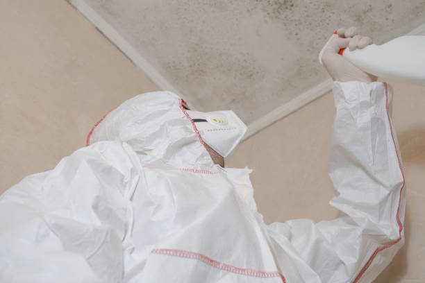 Best Residential Mold Remediation in Enoch, UT